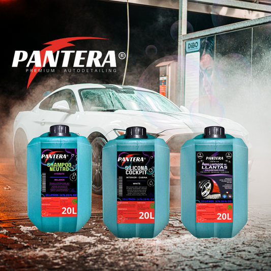 Combo Car Wash, Shampoo Neutro, Silicona Cockpit, Abrillantador de Llantas + 1 APC Quita Mancha de 1L Gratis + Delivery Gratis